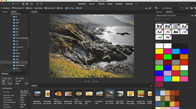 Adobe Bridge CC 2019 free download