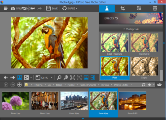  InPixio Photo Editor 8. crack download