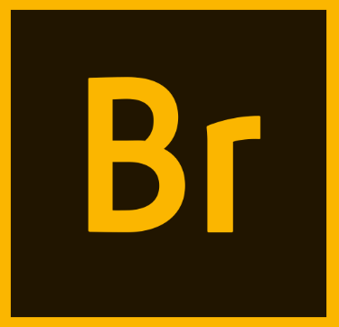 Adobe Bridge CC 2020 v10.0 Free Download 100% working