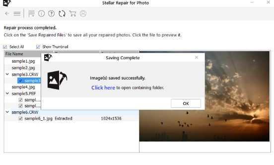 stellar Stellar Repair for Photo 7 free download