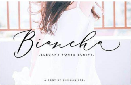 Creative Fonts Pack [June-2020] 23 Fonts Free Download