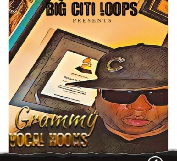 Diggy Loops Grammy Vocal Hooks [WAV] (Premium)