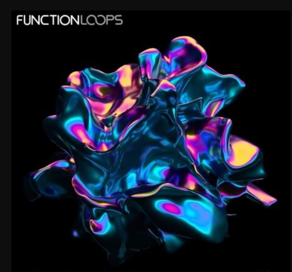 Function Loops Pop + House [WAV]  (premium)