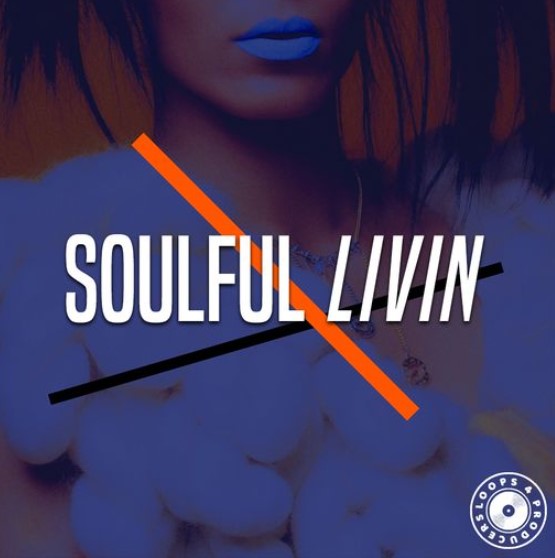 Loops 4 Producers Soulful Livin [WAV] (Premium)