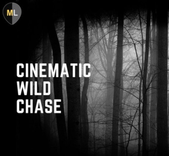 Mango Loops Cinematic Wild Chase Vol.1 [WAV, AiFF] (Premium)