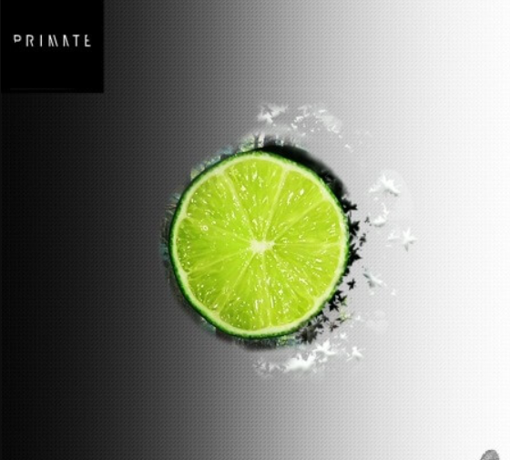 SmallPrint Ingredients Primate Citrus [WAV]  (premium)