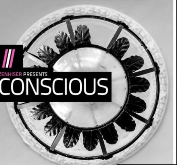 Zenhiser Conscious [WAV]  (Premium)