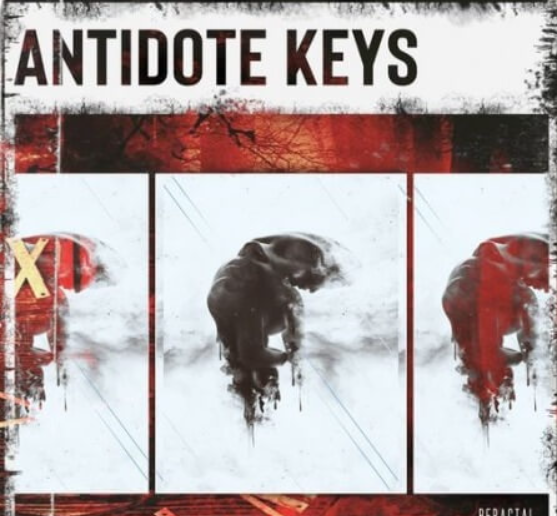 BFractal Music Antidote Keys [WAV] (Premium)