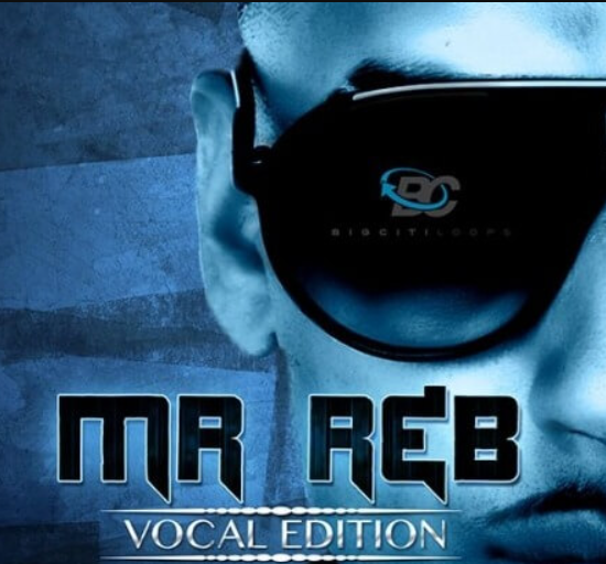 Big Citi Loops Mr. RnB Vocal Edition [WAV]  (premium)