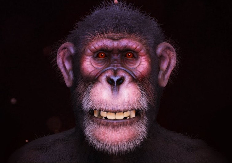 Create a Realistic Chimpanzee in Zbrush