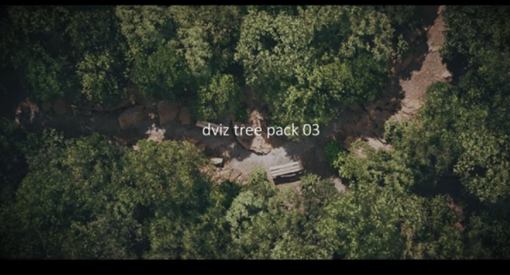 DVIZ – Unreal Engine Tree and Forest Pack 03  (Premium)