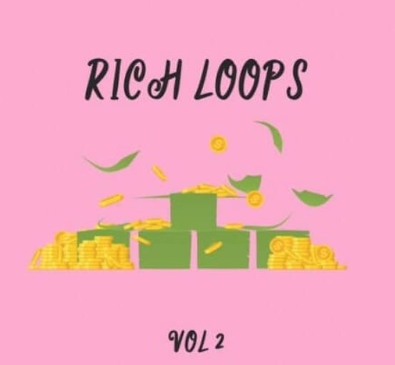 DiyMusicBiz Rich Loop Vol.2 [WAV] (premium)