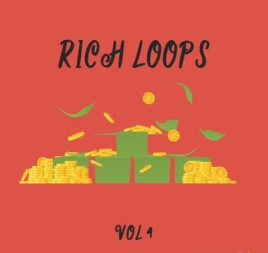 DiyMusicBiz Rich Loop Vol.4 [WAV]  (premium)