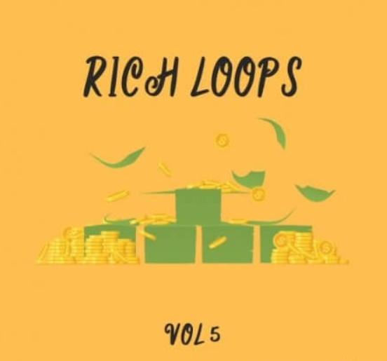 DiyMusicBiz Rich Loop Vol.5 [WAV]  (Premium)