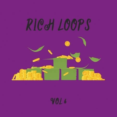 DiyMusicBiz Rich Loop Vol.6 [WAV]