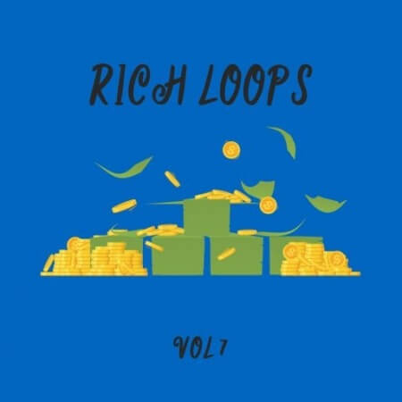 DiyMusicBiz Rich Loop Vol.7 [WAV]