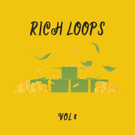 DiyMusicBiz Rich Loop Vol.8 [WAV] (Premium)