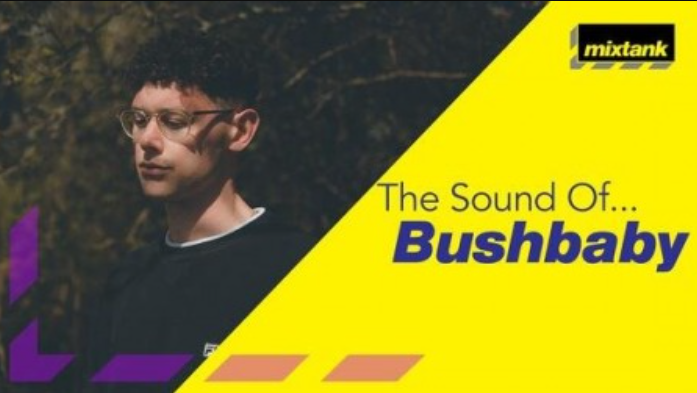 Mixtank.tv The Sound Of Bushbaby [TUTORiAL]  (Premium)