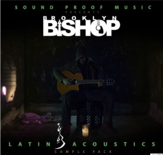 Sound Proof Music Latin Acoustics Vol.2 [AiFF] (Premium)