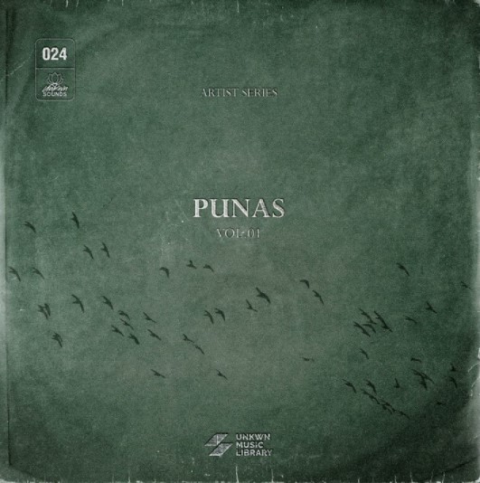 UNKWN Sounds Punas Vol.1 (Compositions and Stems) [WAV]