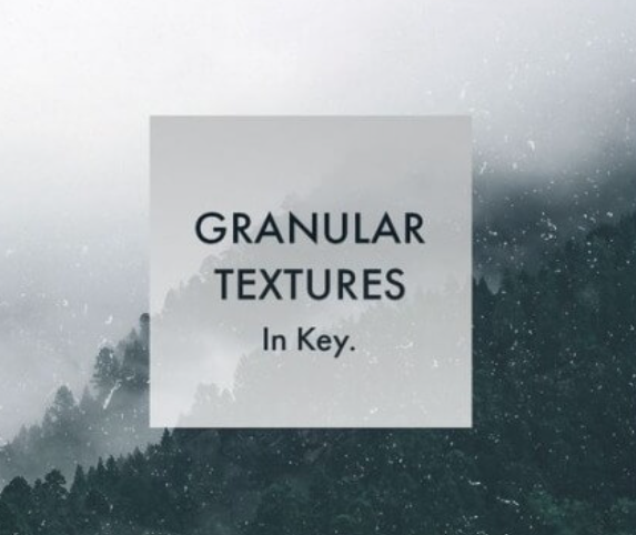 Whitenoise Records Granular Textures In Key [WAV] (Premium)