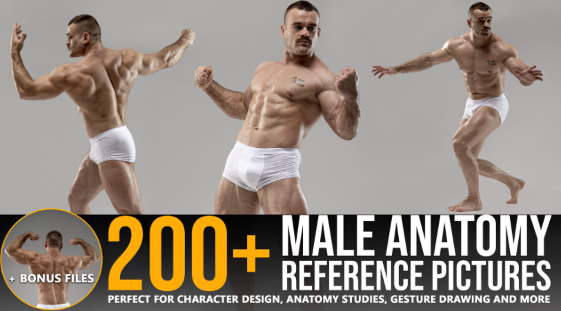 ARTSTATION – 200+ MALE ANATOMY REFERENCE PICTURES BY GRAFIT STUDIO (premium)