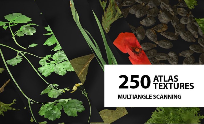 ArtStation Marketplace – Huge atlas pack (250) / Foliage / Spice / Decals