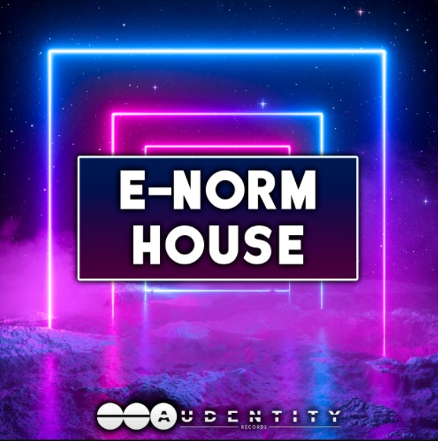 Audentity Records E-Norm House [WAV, Synth Presets] (Premium)