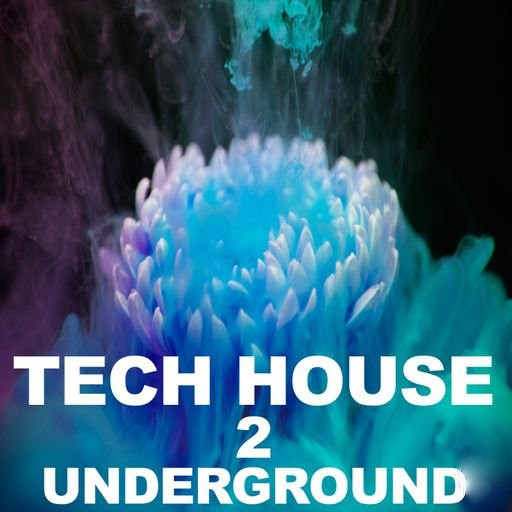 Beatrising Tech House Underground 2 [WAV]