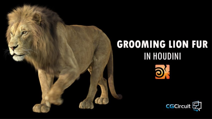 CGCIRCUIT – GROOMING LION FUR IN HOUDINI (Premium)