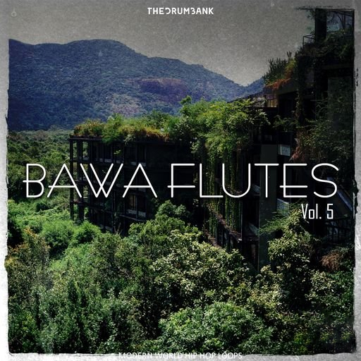 Dynasty Loops Bawa Flutes 5 [WAV]