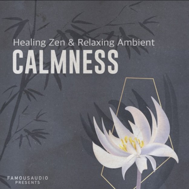 Famous Audio Calmness Healing Zen and Relaxing Ambient [WAV]