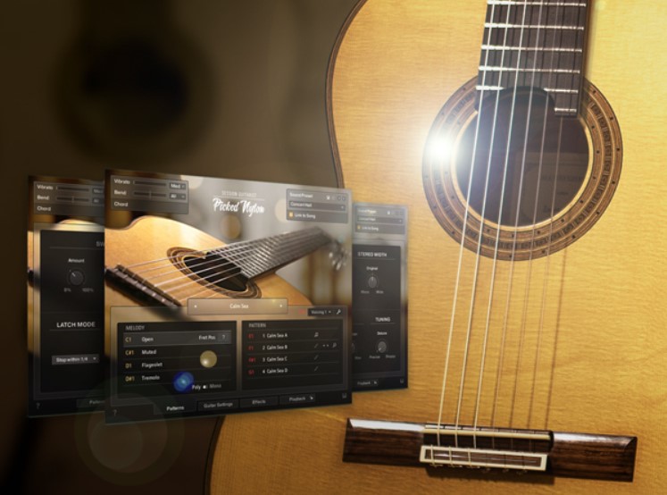 Groove3 Session Guitarist STRUMMED ACOUSTIC 1 & 2 Explained® [TUTORiAL] (Premium)