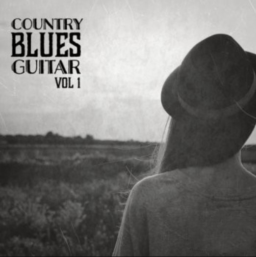 New Beard Media Country Blue Guitars Vol.1 [WAV] (Premium)