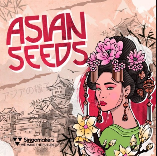 Singomakers Asian Seeds [WAV, REX] (Premium)