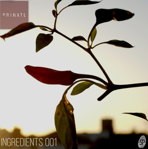 SmallPrint Ingredients 001 Primate [WAV] (Premium)