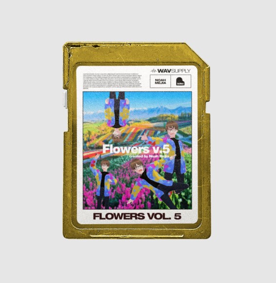 WavSupply Noah Mejia Flowers Vol.5 (One Shot Kit) [WAV] (Premium)