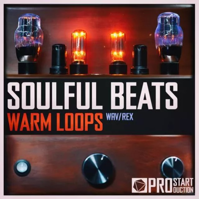 Beatrising Soulful Beats Warm Loops [WAV]