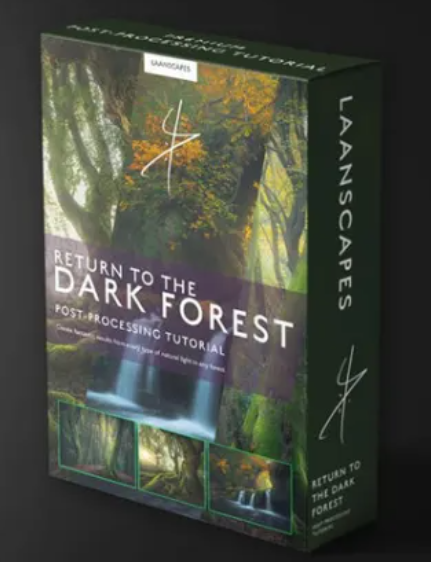 Daniel Laan – Return to the Dark Forest