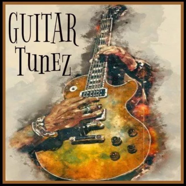 Innovative Samples Guitar Tunez [WAV] (Premium)