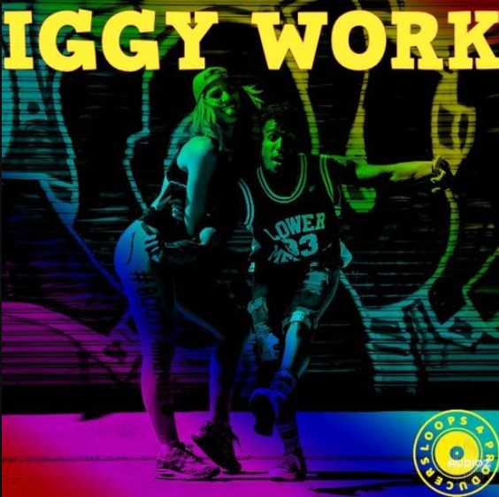 Loops 4 Producers Iggy Work [WAV] (Premium)