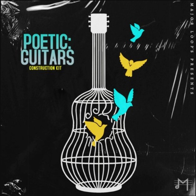 Major Loops Poetic Guitars [WAV] (Premium)