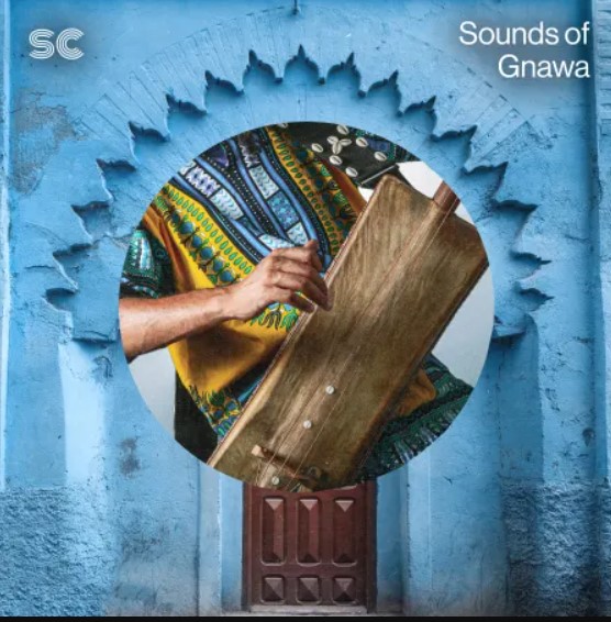 Sonic Collective Sounds of Gnawa [WAV] (Premium)