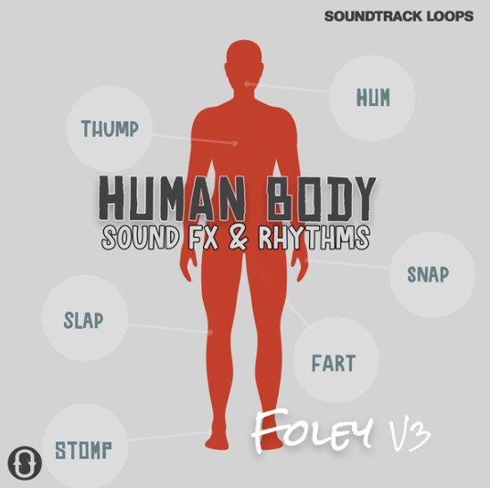 Soundtrack Loops Foley V3 Human Body Sound Effects & Rhythms [WAV] (Premium)