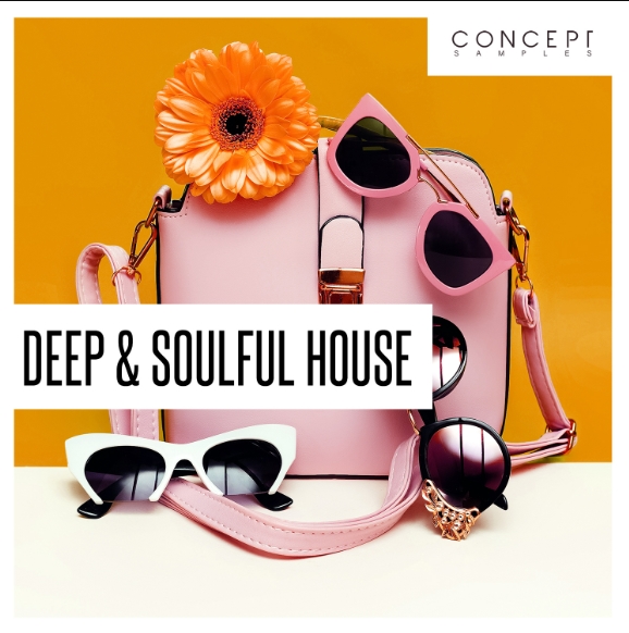 Concept Samples Deep and Soulful House [WAV] (Premium)