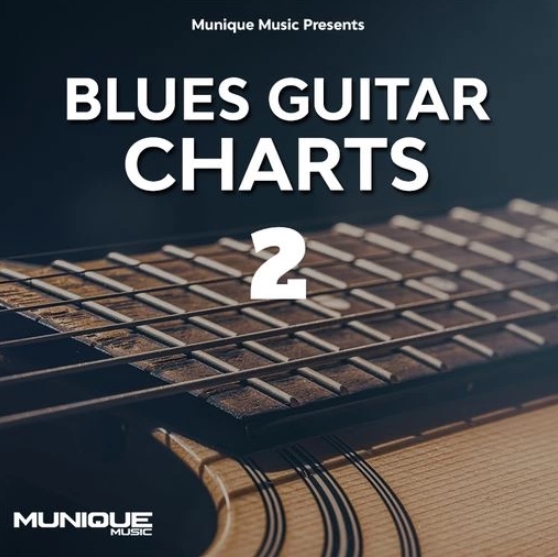 Innovative Samples Blues Guitar Charts 2 [WAV] (Premium)