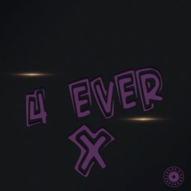 Loops 4 Producers 4 Ever X [WAV] (Premium)