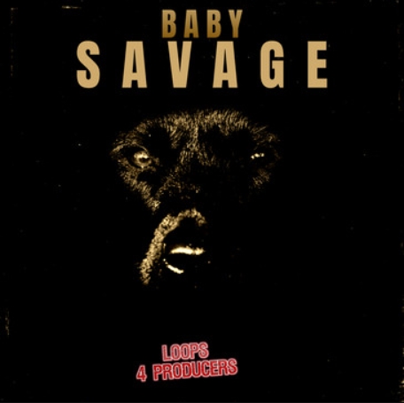 Loops 4 Producers Baby Savage [WAV] (Premium)