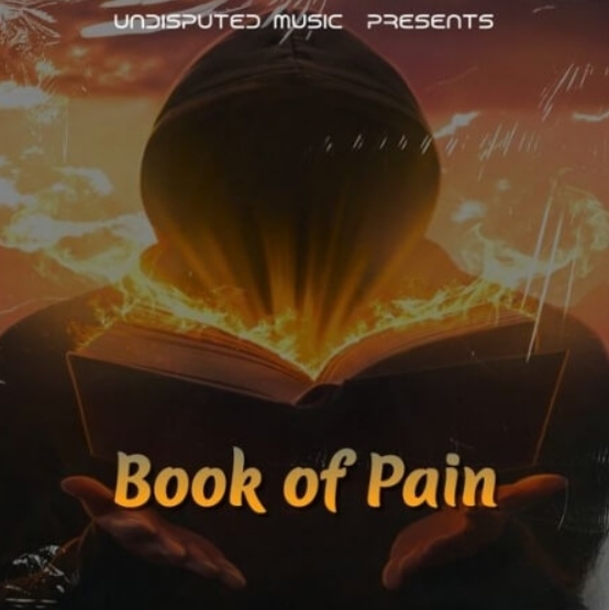 Loops 4 Producers Book Of Pain [WAV] (Premium)