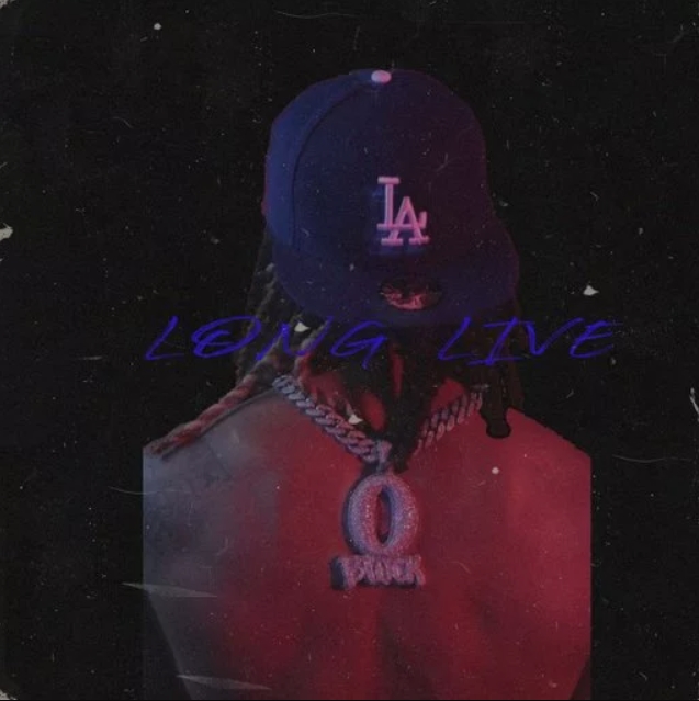 Loops 4 Producers Long Live [WAV]